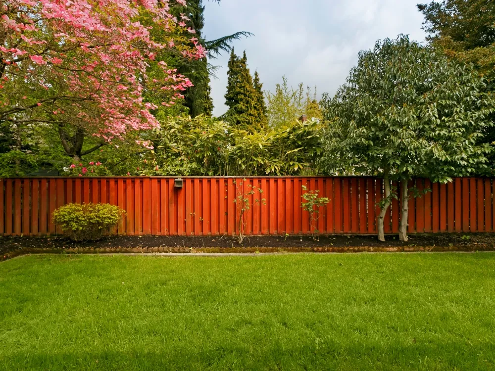 A stained vertical timber slat fence behind a level lawn and flowering garden trees - Fencing and Landscaping Experts, fence replacement contractors in Sydney