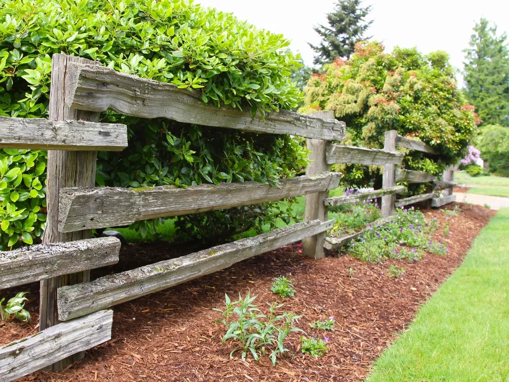 A weathered timber post-and-rail fence running along a mulched garden bed - Fencing and Landscaping Experts, fencing and landscaping contractors in the Forest District