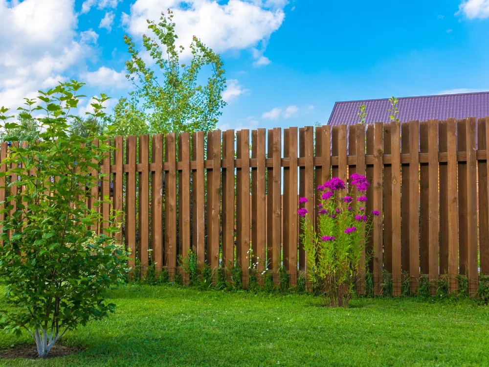 A brown timber paling fence with lawn and shrub planting in front of it - Fencing and Landscaping Experts, fencing and landscaping contractors in South Turramurra 2074